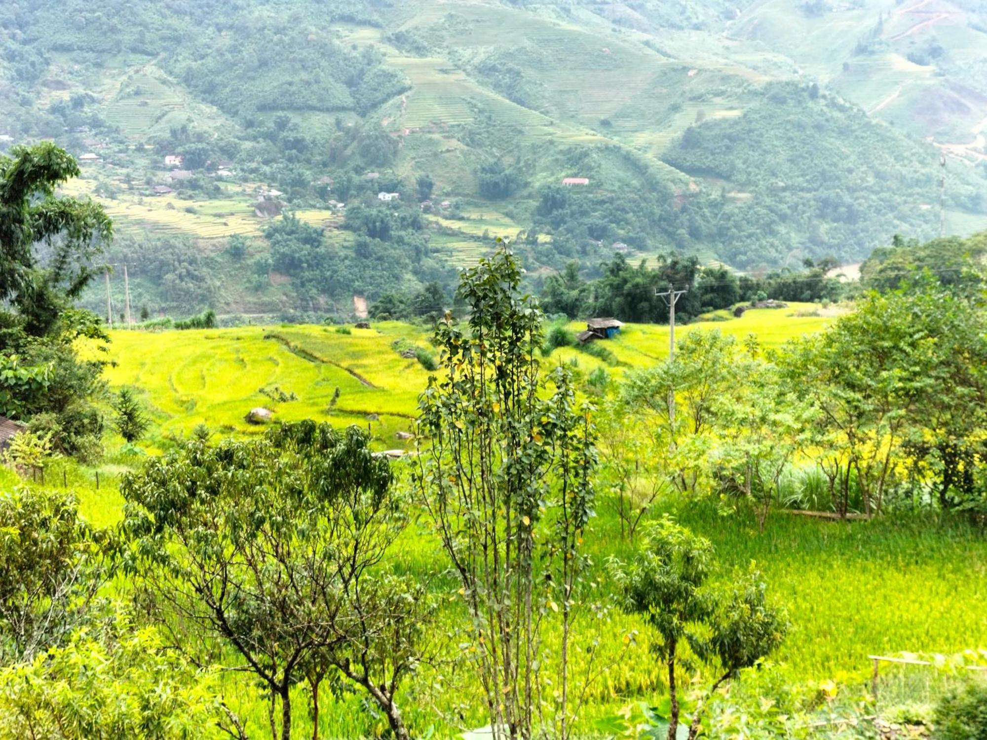 Muong Hoa Hmong Homestay Sa Pa Kültér fotó